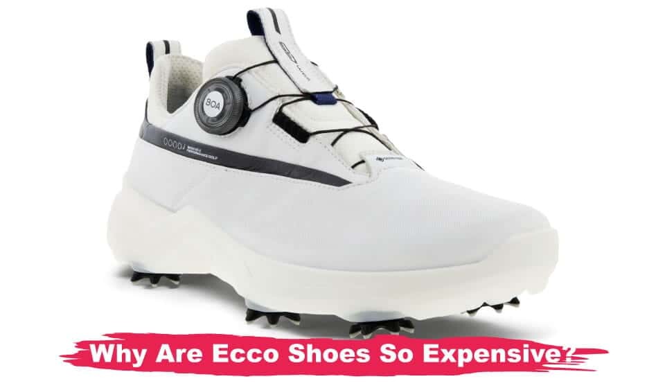 Why Are Ecco Shoes So Expensive